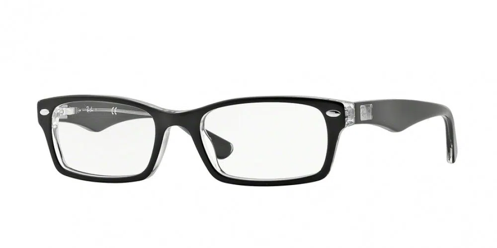 Ray-Ban 5206 Eyeglasses - view 2